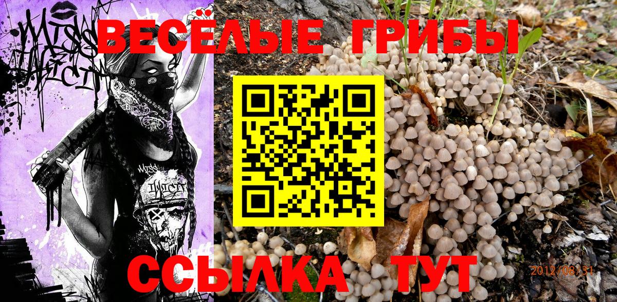 Псилоцибиновые грибы MAGIC MUSHROOMS  Вход с VPN  Нурлат 
